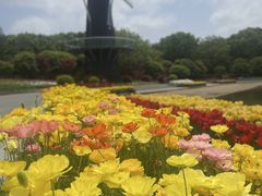 -上海鲜花港