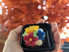 -北京之星奔驰4S店(亦庄店)