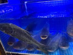 -姜君·千岛湖鱼头馆(浦东大道店)