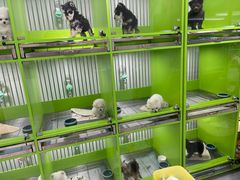 -唐小姐の猫狗洗护·购宠旗舰店(周浦万达店)