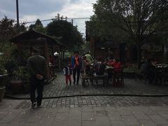 -青城甲(青城山店)