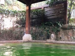 -天目湖涵田半山温泉