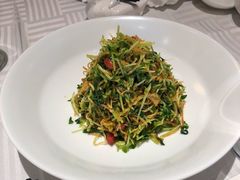 巧拌豆苗-四季民福烤鸭店(王府井灯市口店)