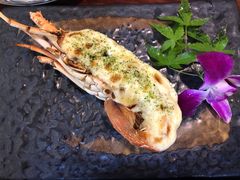 -渔日本料理铁板烧(新天地假日广场店)