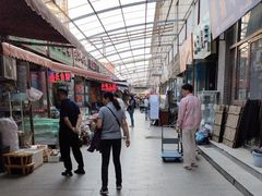 -中环花鸟鱼虫市场