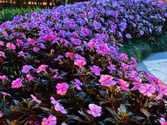 -大唐博相府酒店·陕西官府菜