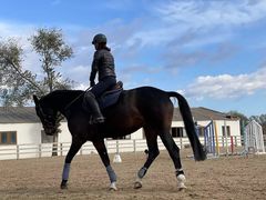 -北京群众马术培训基地