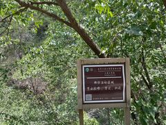-北京上方山国家森林公园