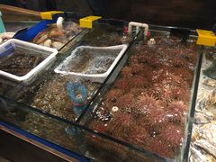 -马路边上·小海鲜烧烤(八一路店)