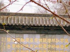 -桃花堤公园