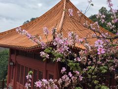 -南沙天后宫景区