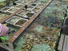 -景好海鲜餐厅(大鹏必选旅游店)