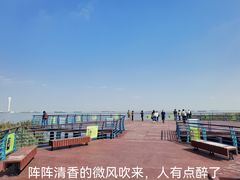 -上海吴淞炮台湾国家湿地公园