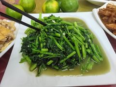 -品雅轩农家乐