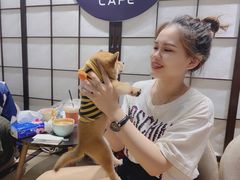 -逗柴咖啡屋·狗咖猫咖宠物桌游