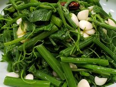 大扁仁丝瓜尖-乾隆饺子馆(中兴广场店)