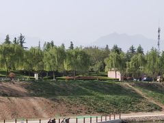 -洨河生态公园