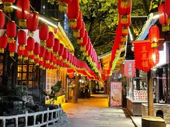 -巴倒烫陆派火锅山庄(南山总店)