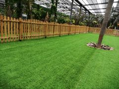 -呀路古热带植物园