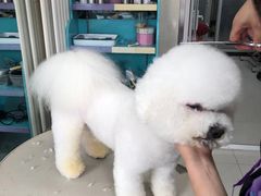 -北京观赏动物医院·24小时大型综合·猫专科·异宠专科