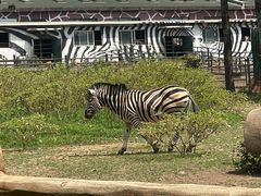 -大连森林动物园