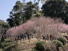 -广州市白云山风景名胜区