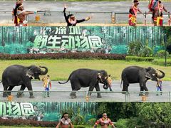 -深圳野生动物园