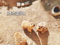 -常州淹城野生动物世界