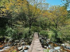 -秦岭终南山世界地质公园翠华山景区