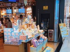 -九木杂物社(新一城店)