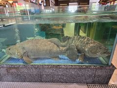 -聚福宝合苑食府(南头镇店)