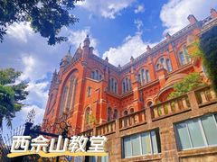 -上海佘山国家森林公园西佘山园