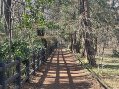 -井之头恩赐公园