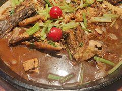 -老板恋上鱼(高新万达店)