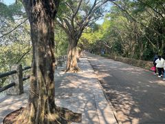 -大湾区中央湿地公园