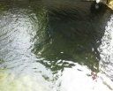 -十三陵山水雅园农家院