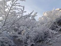-崂山巨峰游览区
