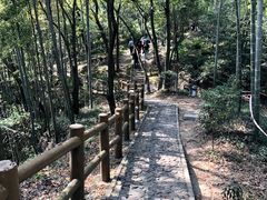 -上海佘山国家森林公园天马山园