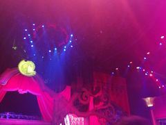 -珠海横琴长隆《卡卡虎奇遇记》