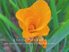 -祥源·阜阳生态乐园