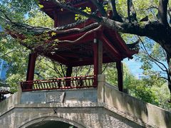 -龙潭水乡