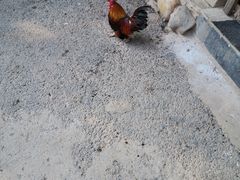 -晓雯人家