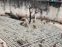 -西安秦岭野生动物园