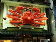 -蟹道乐(道顿堀本店)