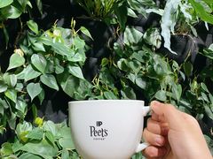 -Peet's Coffee皮爷咖啡(德基店)