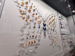 -四川大学博物馆