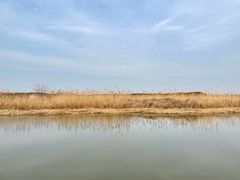 -同里国家湿地公园