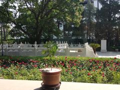 -菩提树下茶咖鼓捣