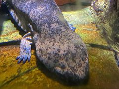 -太平洋海底世界