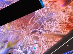 -瑞德姆美人鱼海底演艺主题餐厅(亚龙湾店)